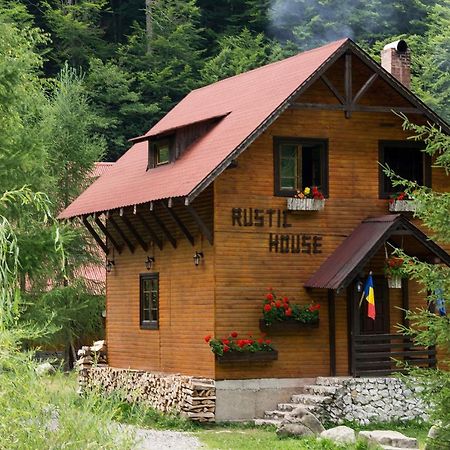 Rustic House Βίλα Stana de Vale Εξωτερικό φωτογραφία