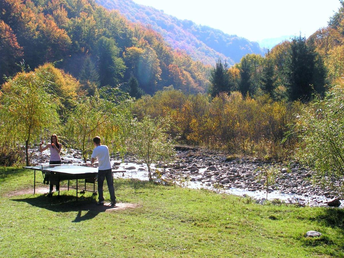 Rustic House Βίλα Stana de Vale Εξωτερικό φωτογραφία