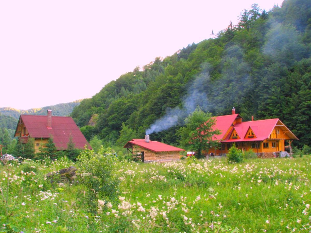 Rustic House Βίλα Stana de Vale Εξωτερικό φωτογραφία