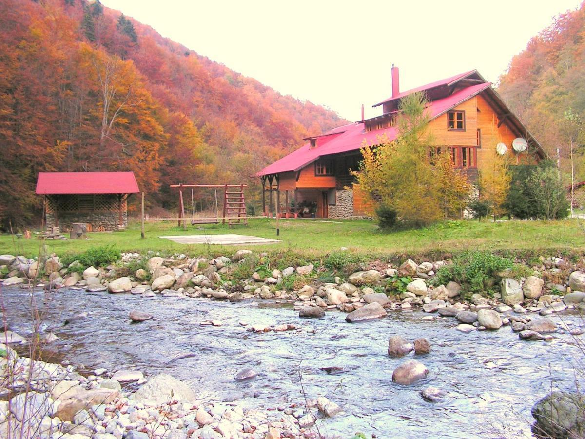 Rustic House Βίλα Stana de Vale Εξωτερικό φωτογραφία