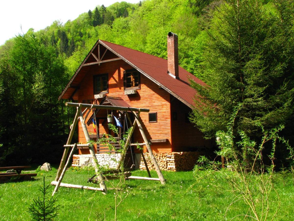 Rustic House Βίλα Stana de Vale Εξωτερικό φωτογραφία